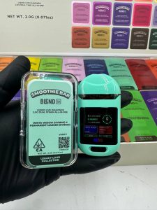 smoothie bar blend 3.0 dual 2g disposable