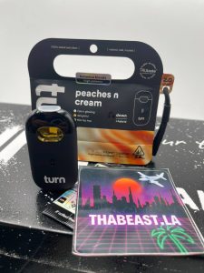 turnone 2g disposable