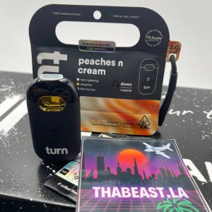turnone 2g disposable