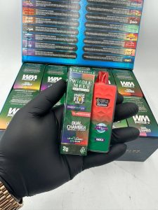 whole melt phase 5 v2 2g disposable