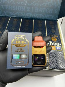big chief duo v2 2g disposable