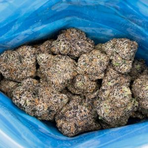 sweetz exotics beach house edition