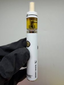 dime industries 2g disposable