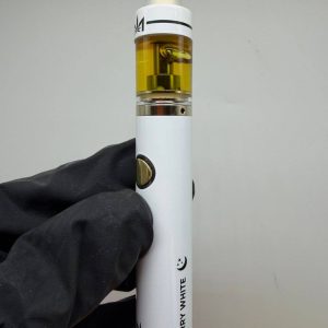 dime industries 2g disposable