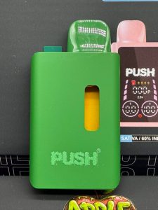 push 2g disposable with screen