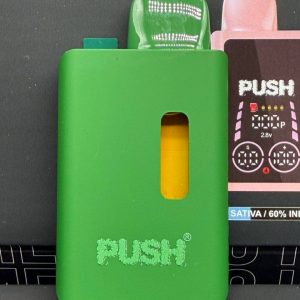 push 2g disposable with screen
