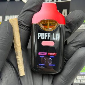 puff la 2g disposable with pre roll