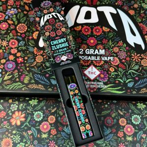 mota 2g disposable