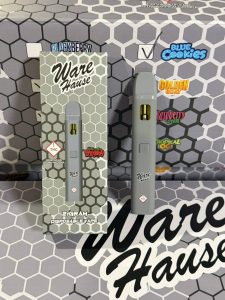 warehouse 2g disposable