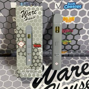 warehouse 2g disposable