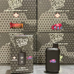warehouse 4g disposable